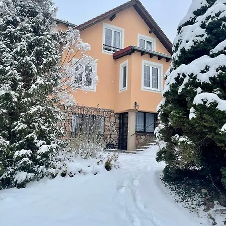 Villa Dum V Hlasne Trebani Hlasna Treban